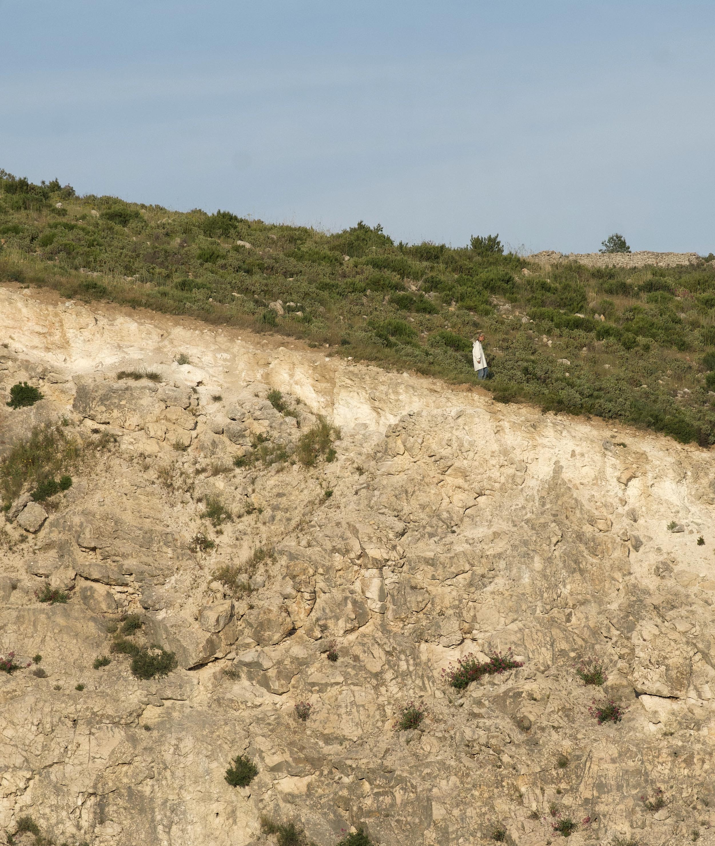 Camins salvatges - Cia Irregulars